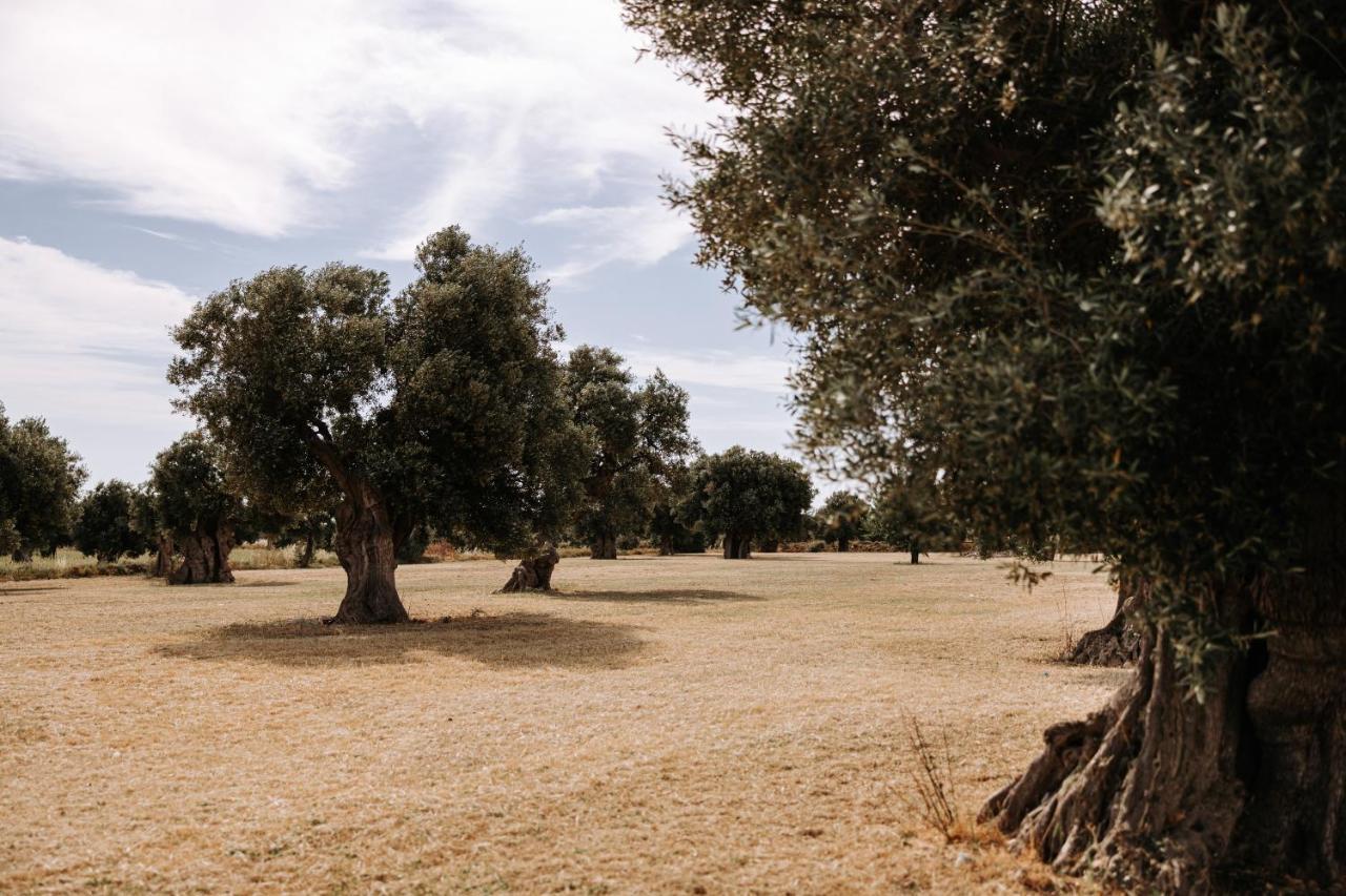Masseria Garrappa 파사노 외부 사진