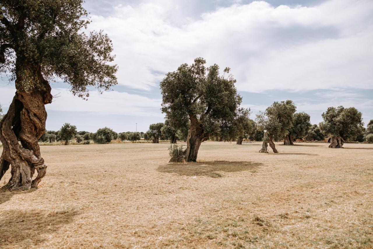 Masseria Garrappa 파사노 외부 사진