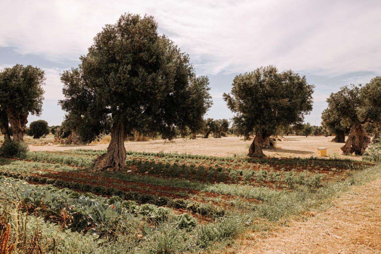 Masseria Garrappa 파사노 외부 사진