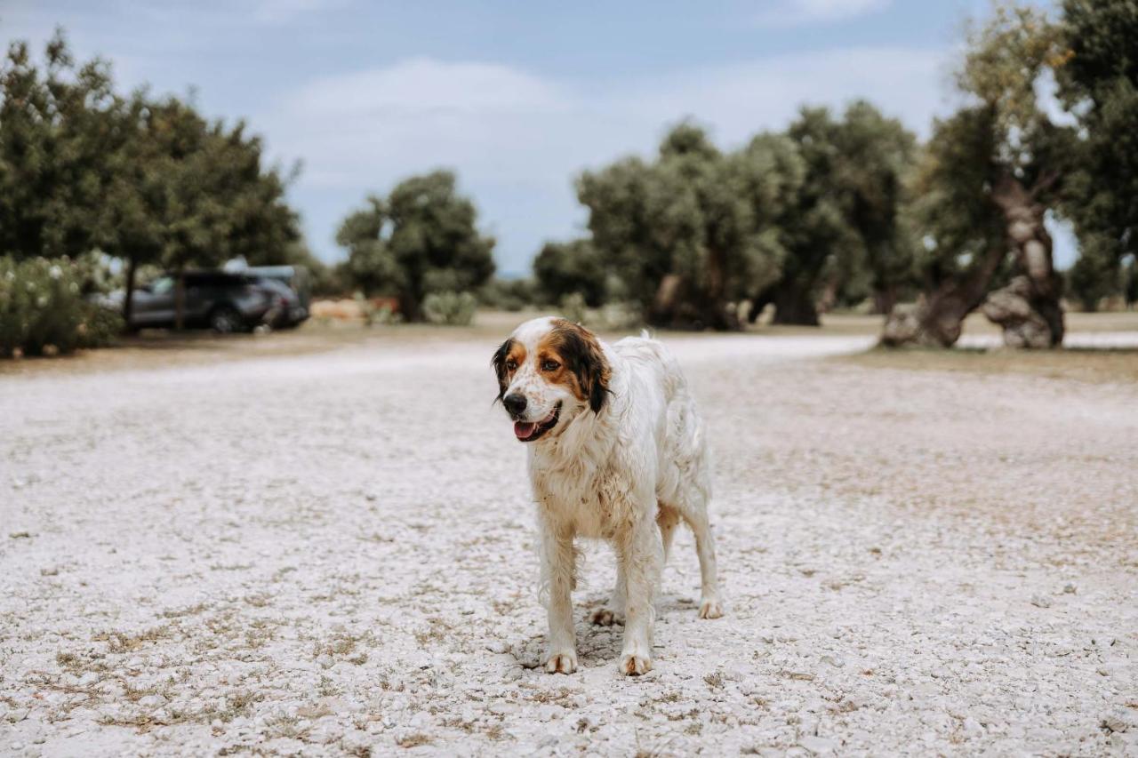 Masseria Garrappa 파사노 외부 사진